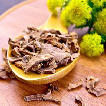 różeniec górski w produktach dr jacobs